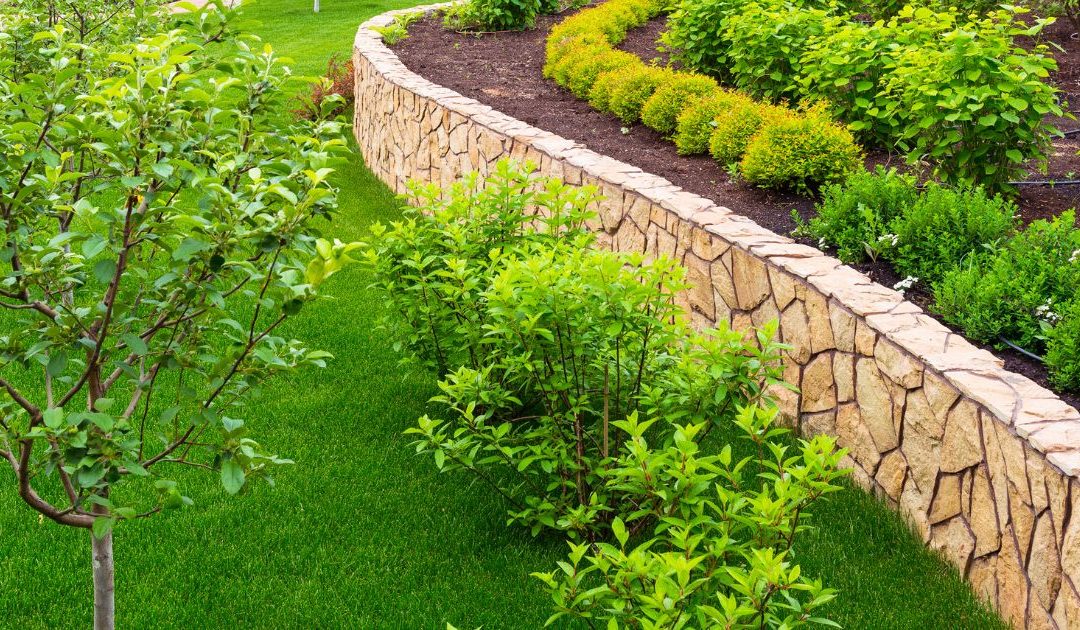 Transitioning Your Landscape from Winter to Spring
