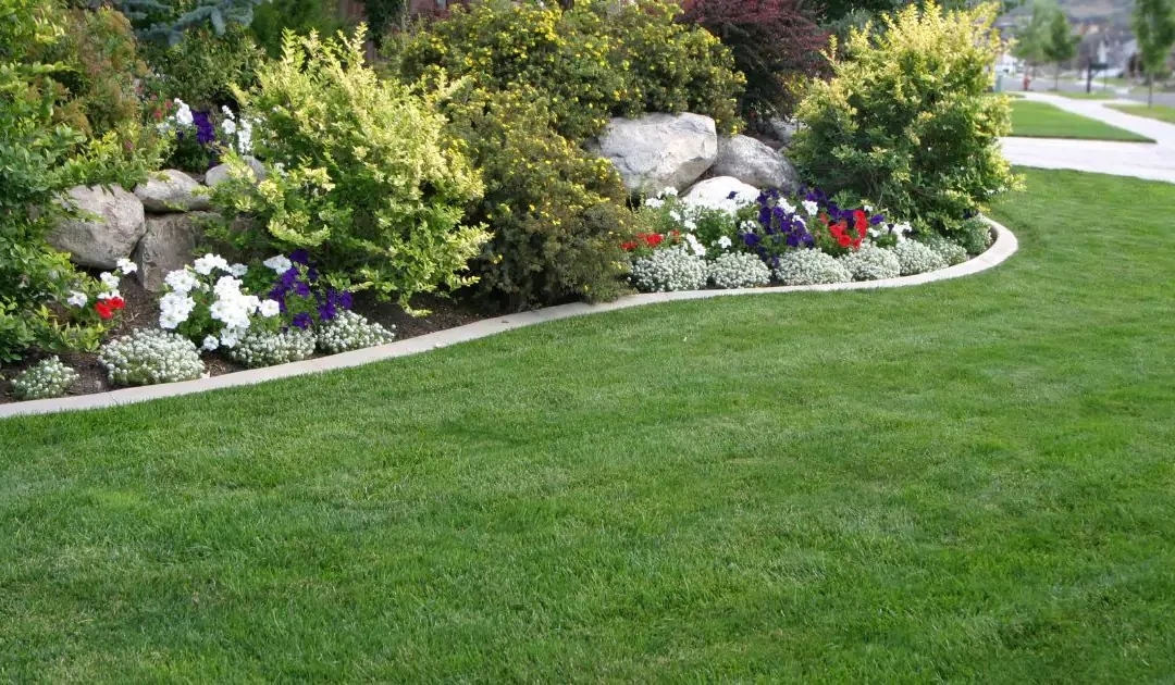 HOA Landscaping: Elevating Your Community Living