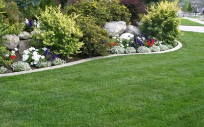 HOA Landscaping: Elevating Your Community Living