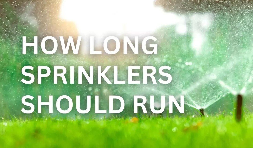 Sprinkler Times: How Long Sprinklers Should Run