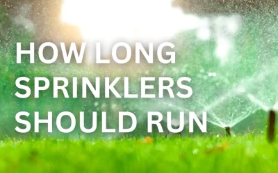Sprinkler Times: How Long Sprinklers Should Run