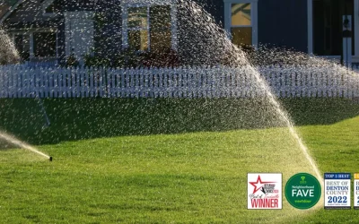 Lawn and Sprinklers: Your Ultimate Guide for Maintenance