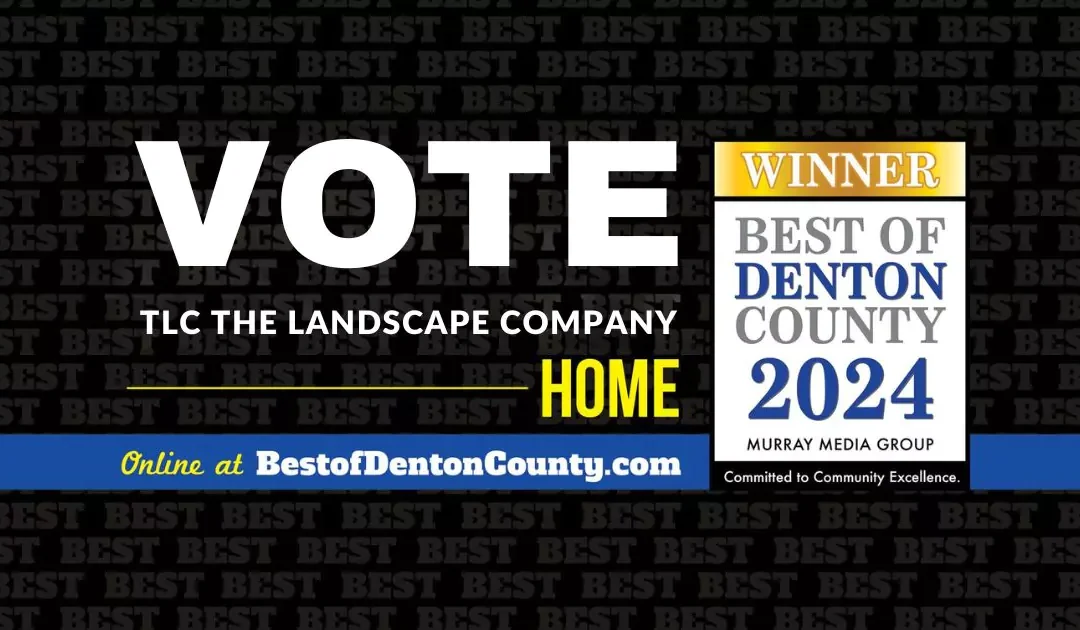 2024 Best of Denton County | Vote for TLC!