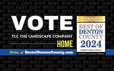 2024 Best of Denton County | Vote for TLC!