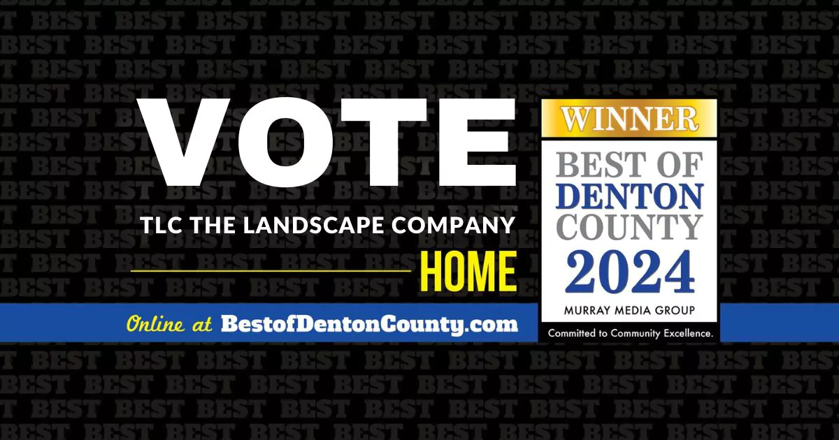 2024 Best of Denton County image