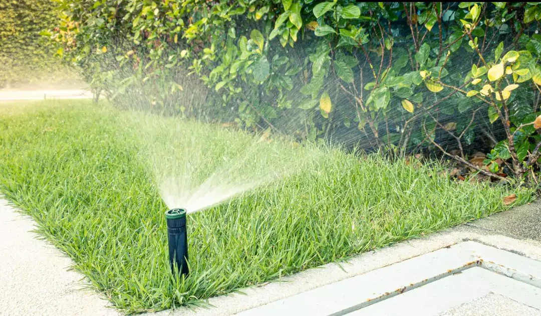 Replacing a Sprinkler Valve with TLC The Landscape Company