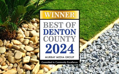 TLC Wins Best Landscaping Company 2024 Award