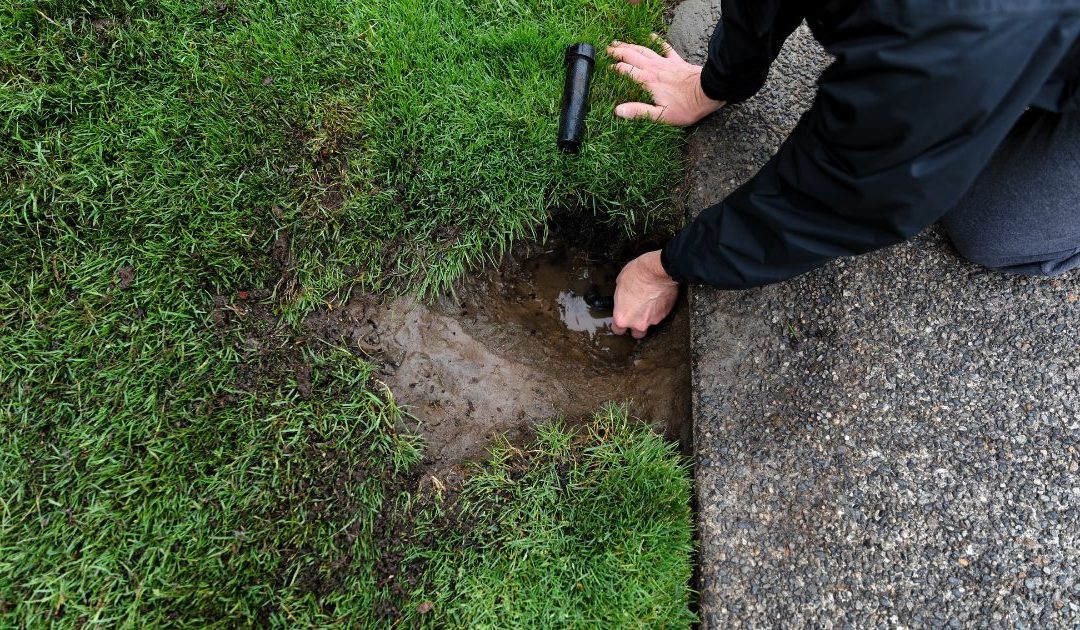 Sprinkler System Repair Cost: What to Expect
