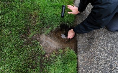 Sprinkler System Repair Cost: What to Expect