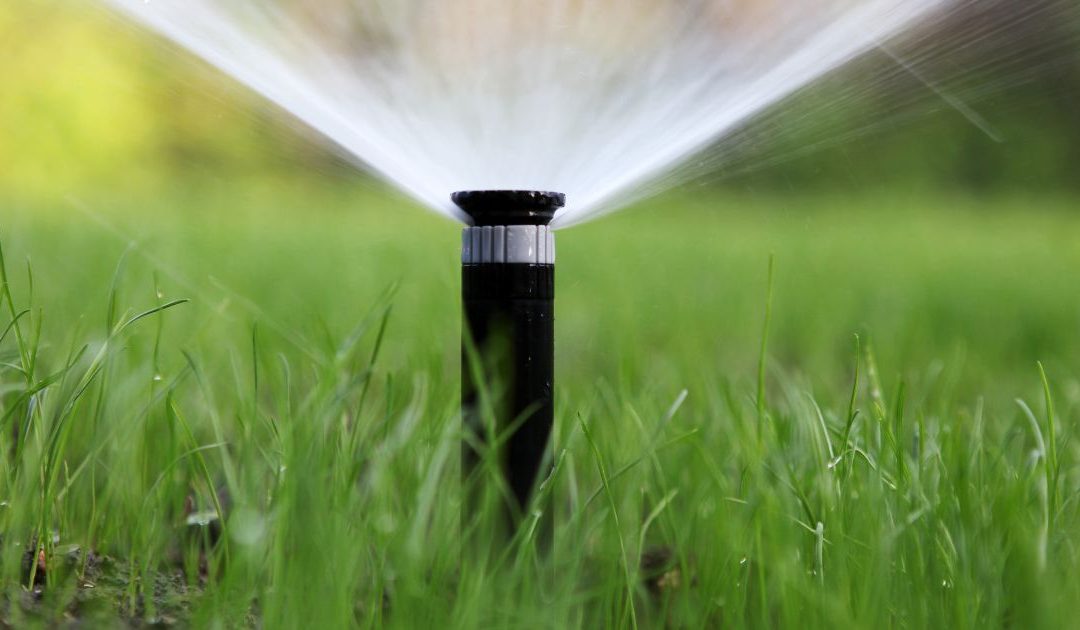 North Texas Lawn Watering Tips for Perfect Timing & Technique