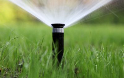 North Texas Lawn Watering Tips for Perfect Timing & Technique