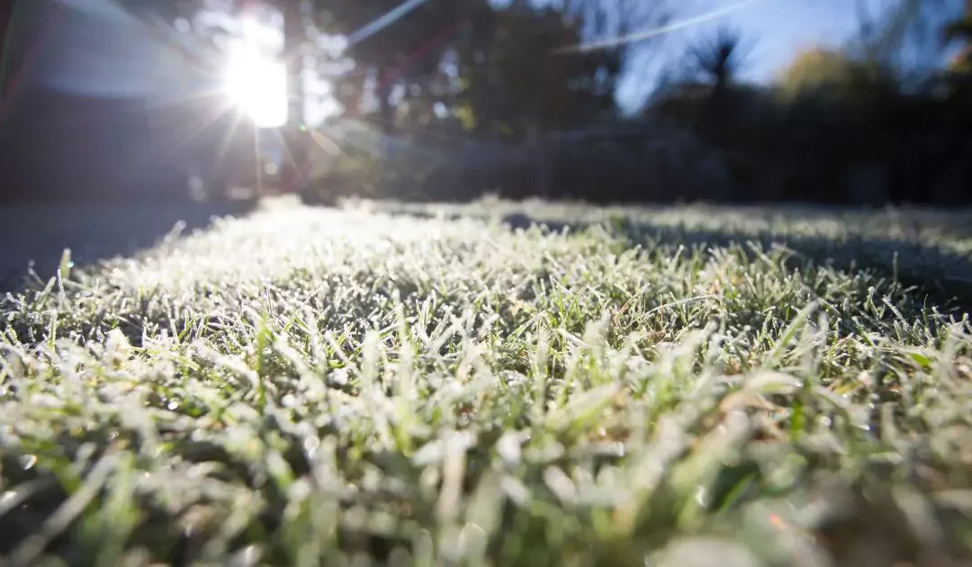 Southern Winterization: Tips for Your Lawn and Irrigation System