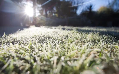 Southern Winterization: Tips for Your Lawn and Irrigation System