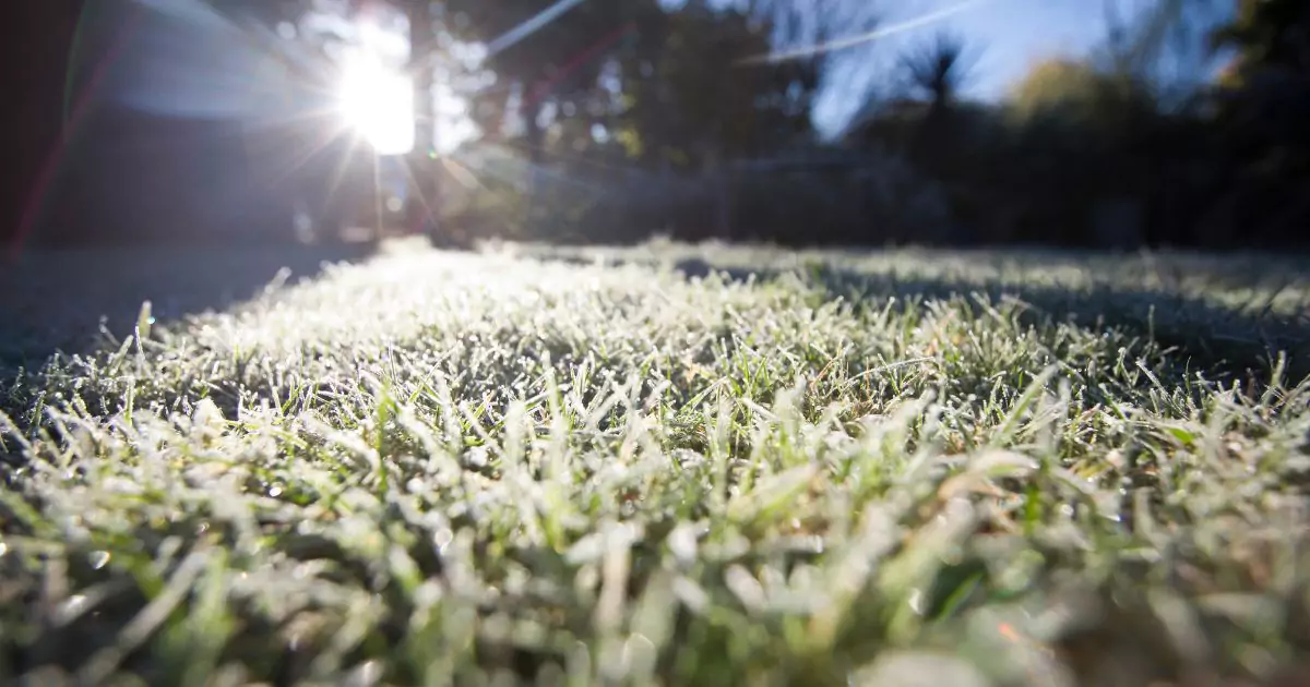 Southern Winterization image