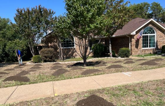 Top Dressing image