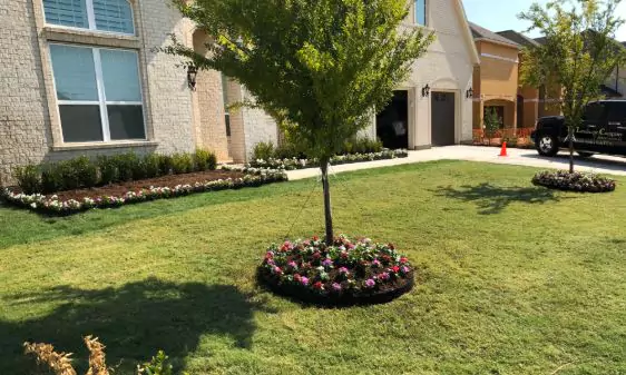 Tree Trimming and Yard Cleanup gift image