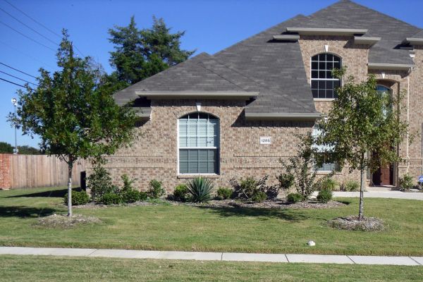 tree trimming service image