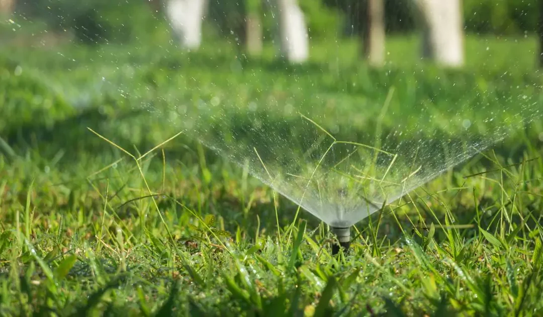 Spring Clean-Up: Time to Refresh Your Landscape