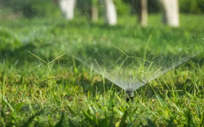 Spring Clean-Up: Time to Refresh Your Landscape
