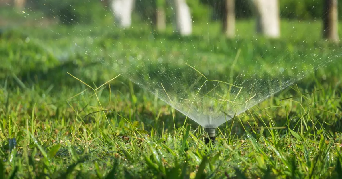 Spring Clean-Up image (1200 x 630 px)