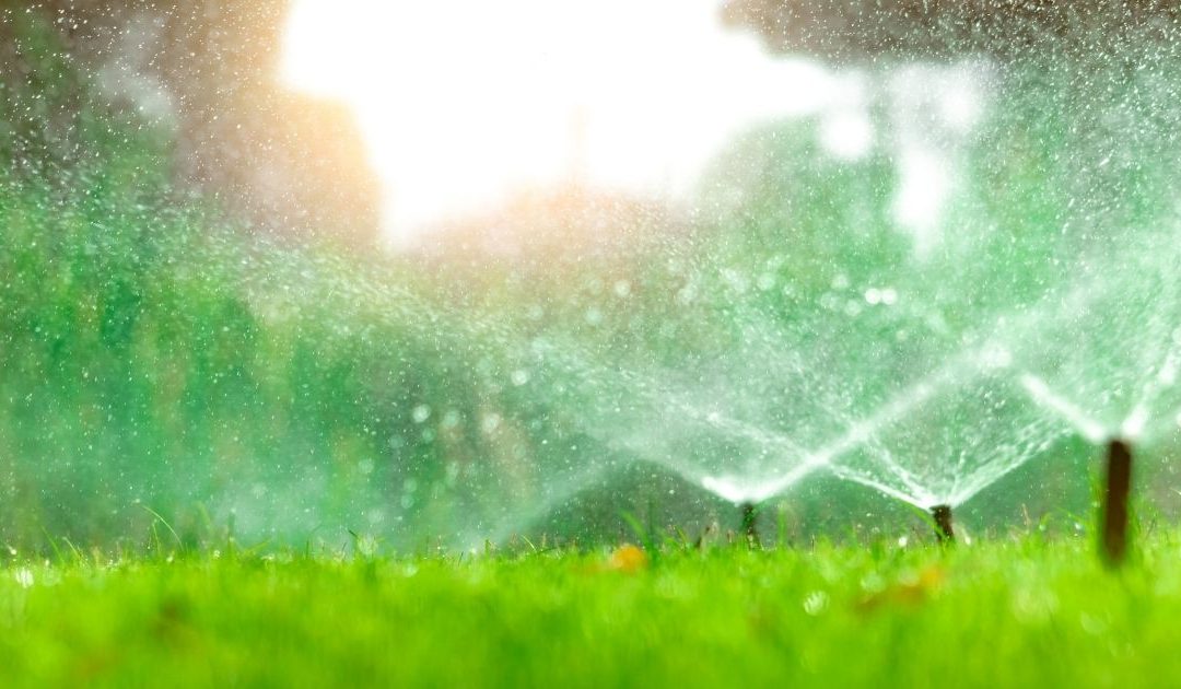 Best Sprinkler Repair Company in Denton, TX