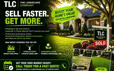 Landscaping to Increase Home Value in Lewisville: Sell Faster & For More